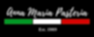 AMP Logo (Inverted Colors) (1)_edited.pn